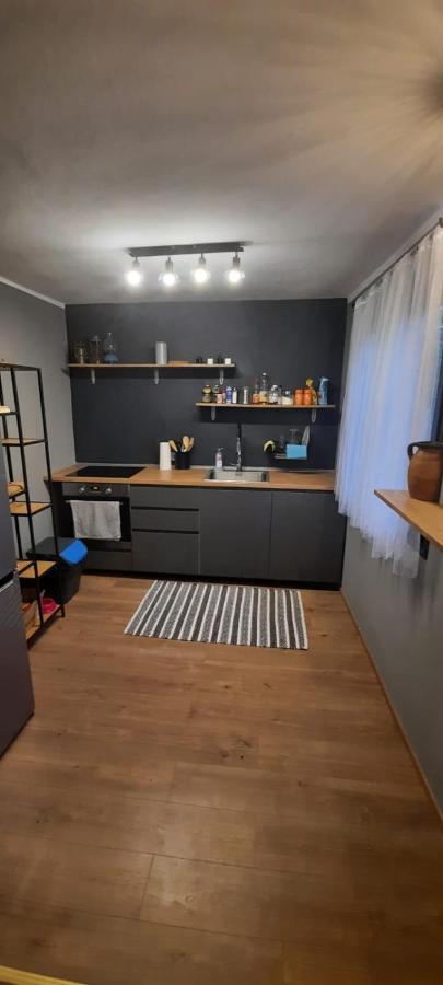 הוילה Petrinja House Kupa Mb מראה חיצוני תמונה