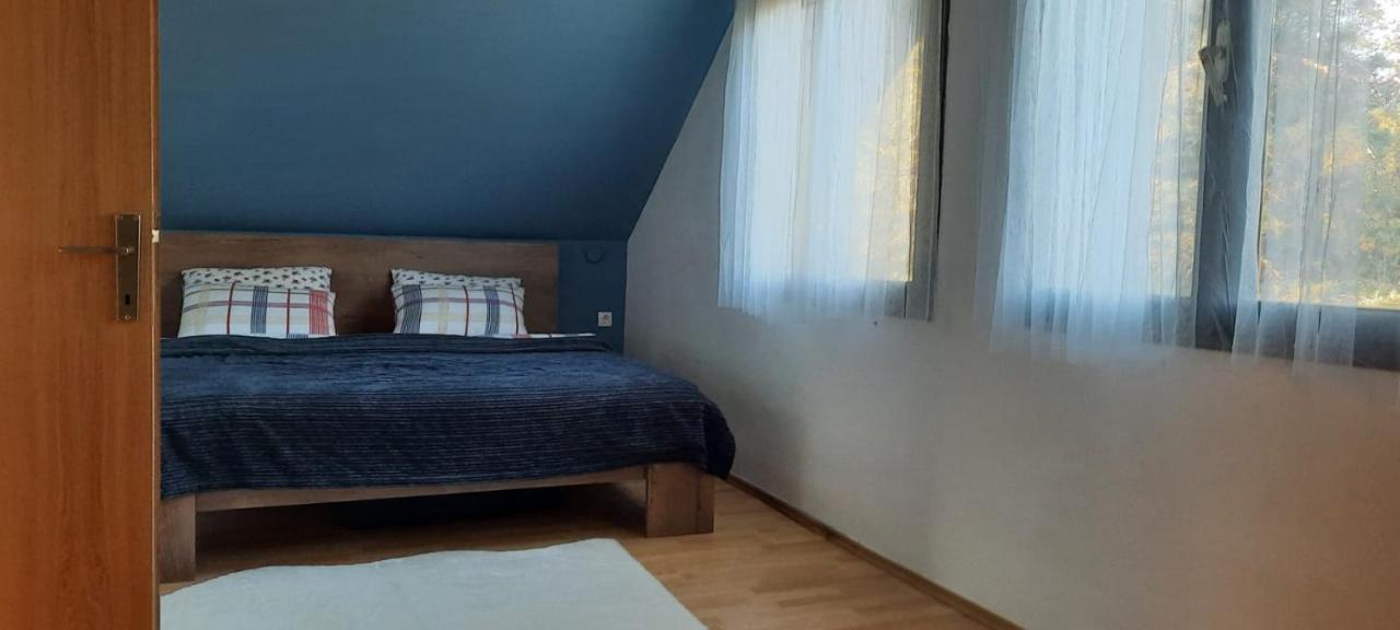 הוילה Petrinja House Kupa Mb מראה חיצוני תמונה