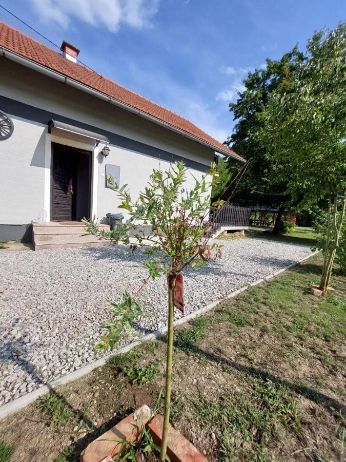 הוילה Petrinja House Kupa Mb מראה חיצוני תמונה