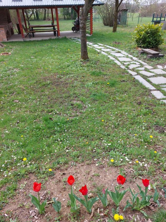 הוילה Petrinja House Kupa Mb מראה חיצוני תמונה