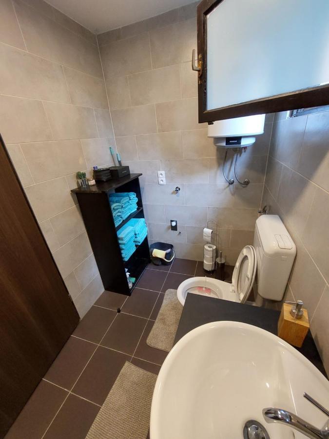 הוילה Petrinja House Kupa Mb מראה חיצוני תמונה